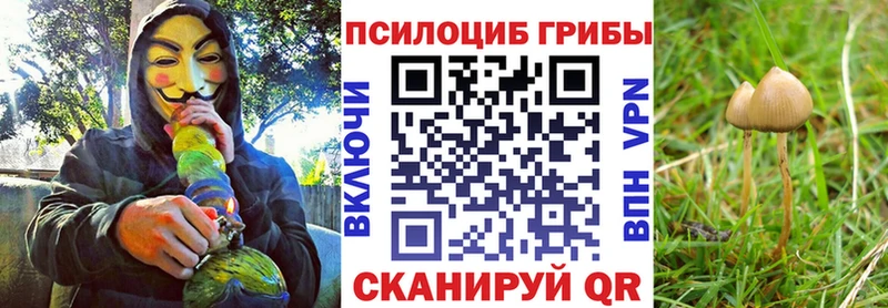 Псилоцибиновые грибы Magic Shrooms  Стерлитамак 